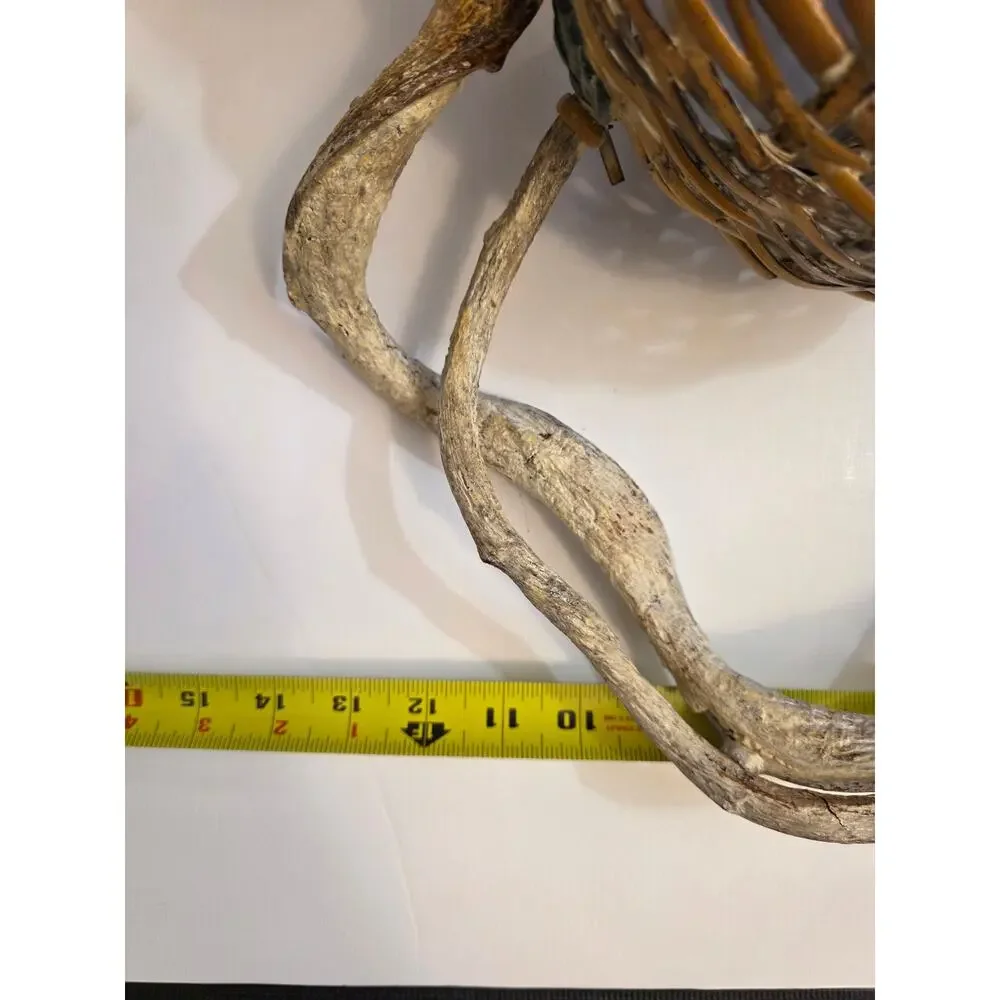 Handwoven Root Branches Rustic Sculpted Fruit & Leaves Basket Primitive Rustic